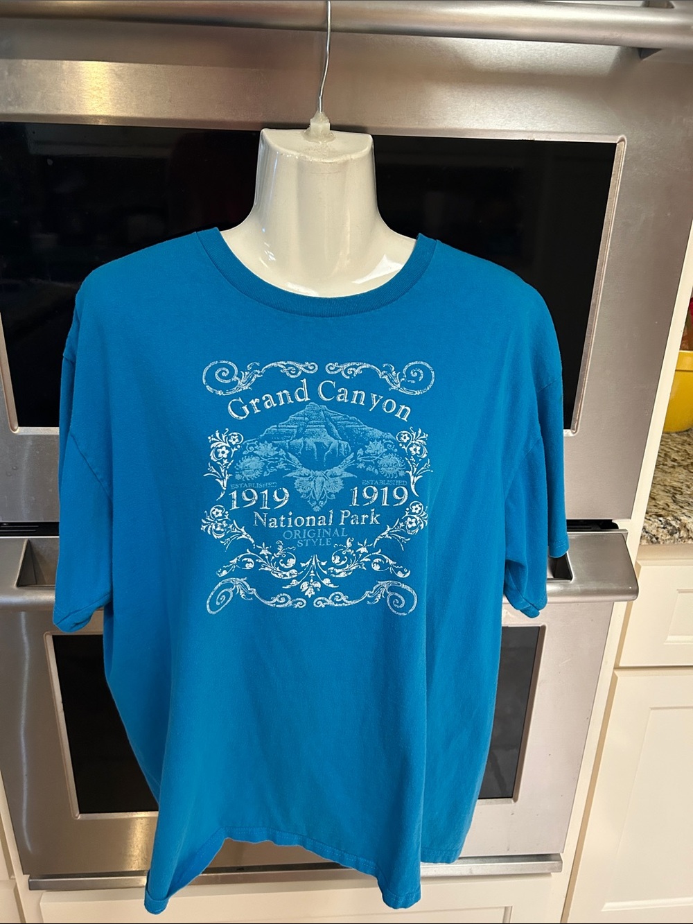 Gildan Teal Short-Sleeve Grand Canyon Graphic Tee